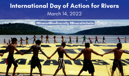 Giornata Internazionale di azione per i fiumi. Mastromarino: “Agire insieme è il nostro impegno per il Noce ed il Sinni”